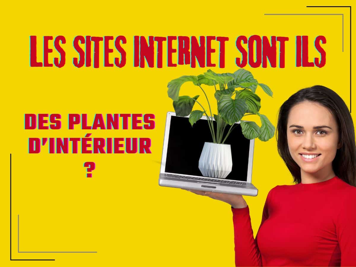 Les sites web sont-ils des plantes d’intérieur ?